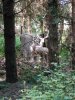 DSCN0044.jpg DSCN0044.jpg