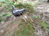 DSCN0041.jpg DSCN0041.jpg