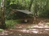 DSCF0477.jpg