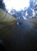 DSC02273.jpg