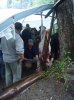 DSC02288.jpg