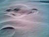 Prints in the sand.jpg