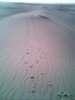 La Maroc 2011 049.jpg