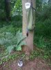 20140607_131416.jpg