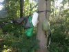 20140607_185852.jpg