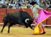 Bullfighting.jpg