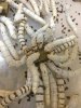 silkworm4.jpg