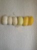 silkworm1.jpg
