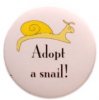 snail 1 (177 x 178).jpg