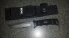 sog seal 1.jped.jpg