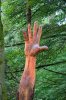 Hand tree.jpg