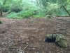 Bushcraft 27th Sept 046.jpg