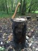 Bedfordshire Bushcraft October 2014 030.jpg