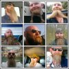uploadfromtaptalk1421101253033.jpg