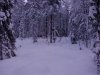 finland 2015 075.jpg