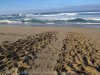 13-ToTheSea5.jpg