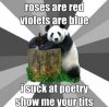 bad-pick-up-line-panda-roses-are-red.jpg