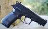 Bersa 3.jpg