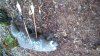 DSC_0188.jpg