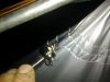 Beetle.jpg