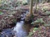 IMG_20131115_125707.jpg