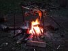 DSC00240.jpg