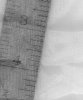 mesh1.jpg