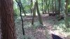DSC_0770.jpg
