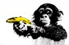 GN0600-MONKEY-banana.jpg