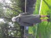 uploadfromtaptalk1441887515073.jpg