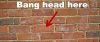 Bang-head-on-brick-wall-620x264.jpg