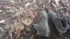 IMG_20160116_081726604.jpg