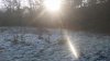 20160117_110834.jpg