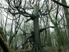 DSCF1597.jpg