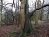 DSCF1583.jpg