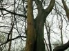 DSCF1584.jpg