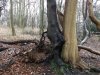 DSCF1592.jpg