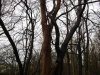 DSCF1589.jpg