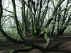 DSCF1559.jpg