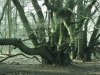 DSCF1561.jpg