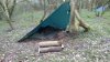 suffolk feb 2016 017.jpg