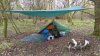 suffolk feb 2016 022.jpg