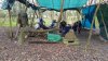 suffolk feb 2016 035.jpg
