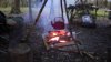 suffolk feb 2016 019.jpg