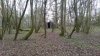 suffolk feb 2016 011.jpg