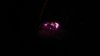 suffolk feb 2016 021.jpg