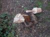 0006 smack the wedge into the small split with the maul.jpg