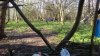 Suffolk April 2016 009.jpg