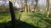 Suffolk April 2016 010.jpg