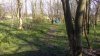 Suffolk April 2016 011.jpg